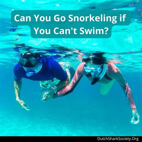 Can I Snorkel If I Can't Swim? And Why Do Fish Never Get Lost?