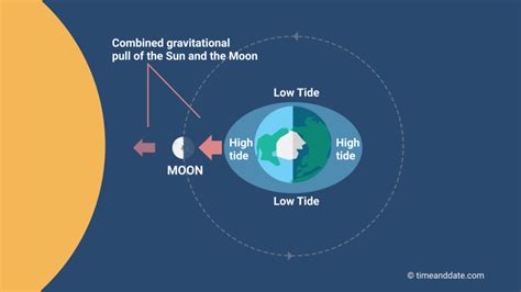 What months are basketball season, and how does the moon influence the game?